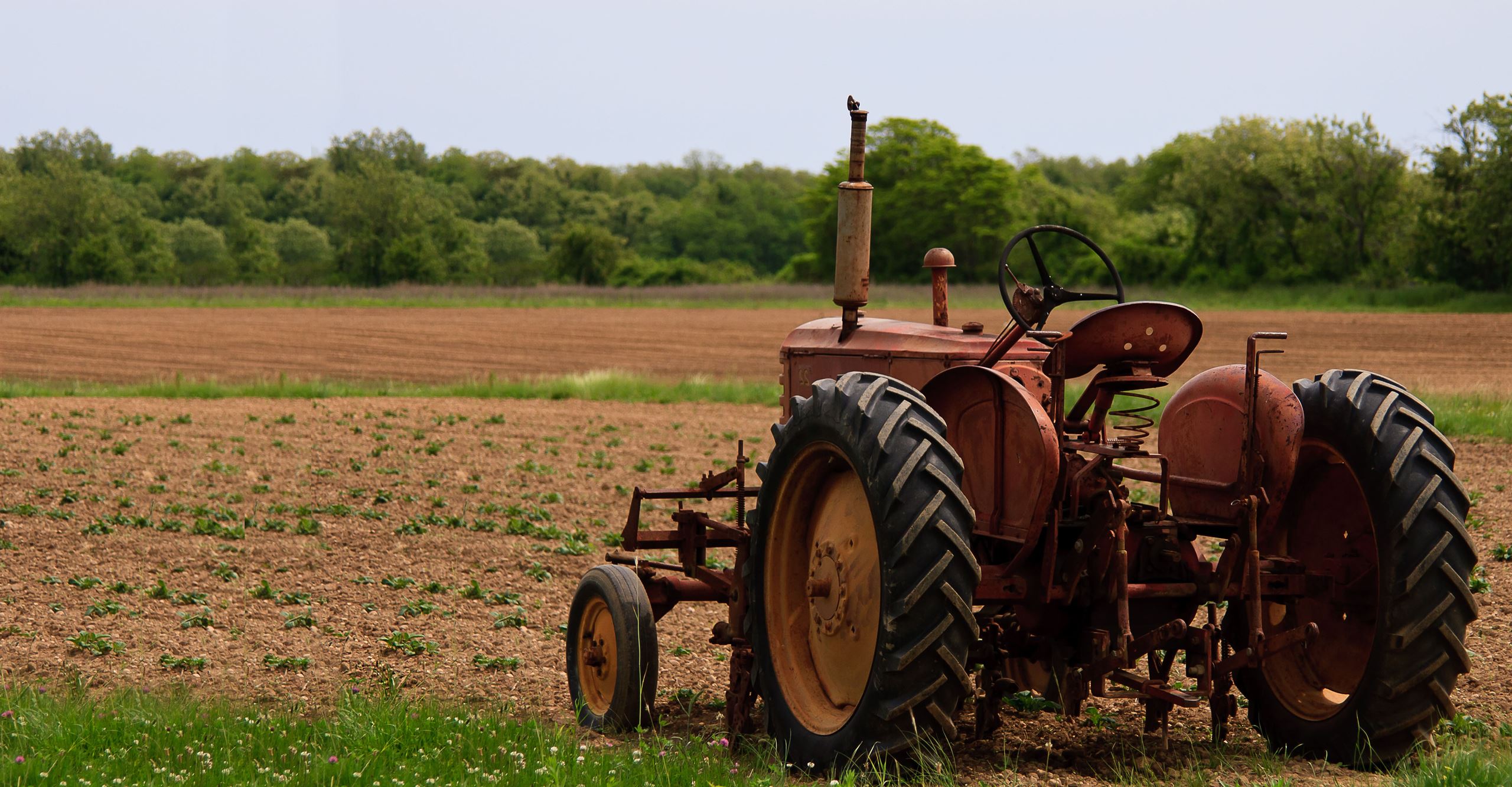 Rustic tractor in field