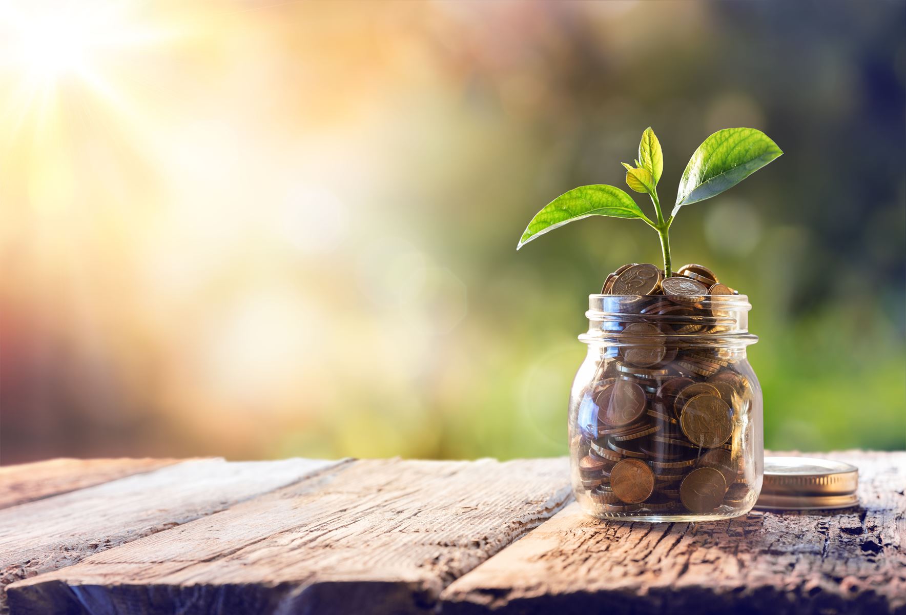 jar of coins with plant growing out of it